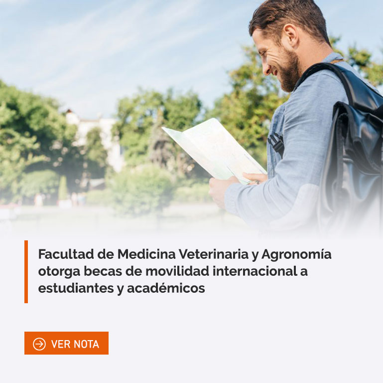Facultad de Medicina Veterinaria y Agronomía otorga becas de movilidad internacional a estudiantes y académicos