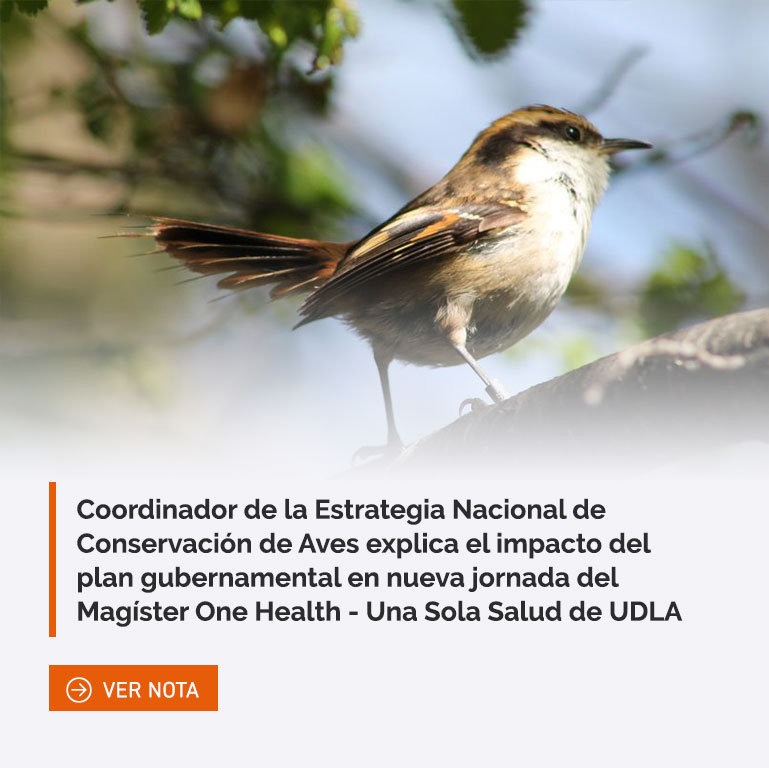 Coordinador de la Estrategia Nacional de Conservación de Aves explica el impacto del plan gubernamental en nueva jornada del Magíster One Health - Una Sola Salud de UDLA