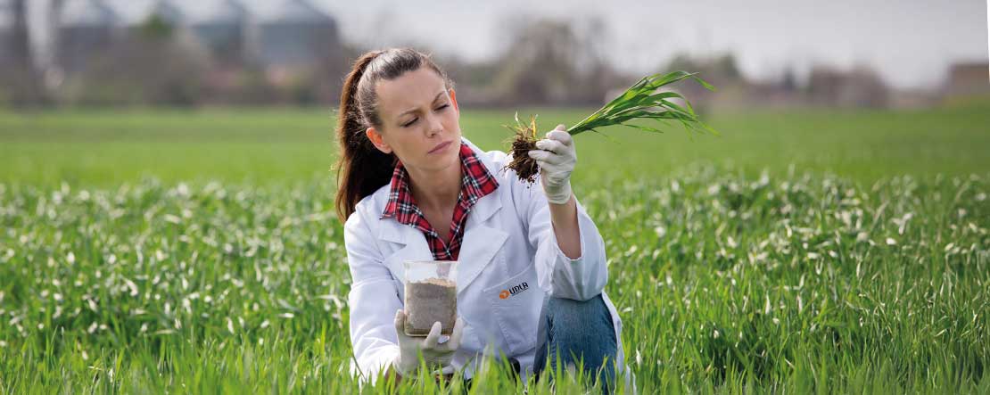 Carrera de agronomía UDLA