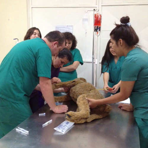 Herramientas de simulación UDLA